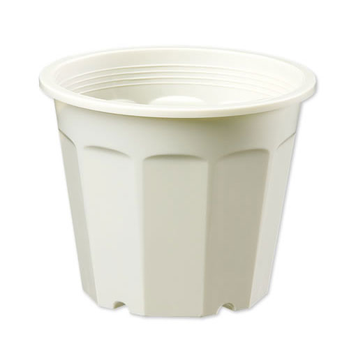 大和可塑性物質 開花期フラワーポット 5号数 10個 クリーム 1l 園芸 ガーデニング 沖縄 離島不可 Silveiralaw Com Br