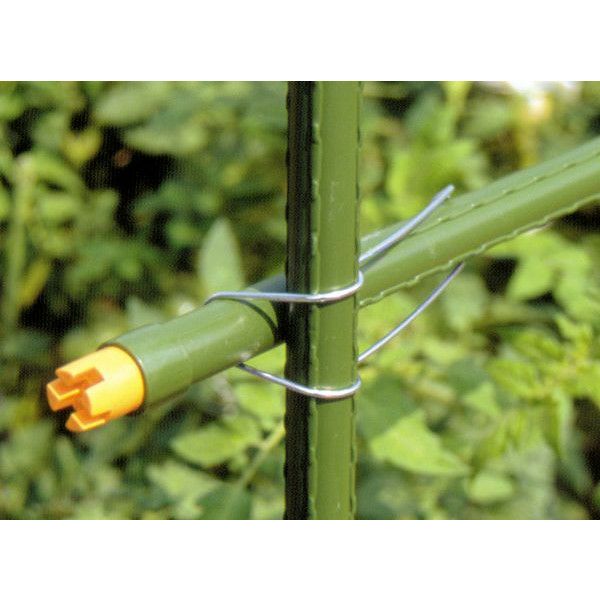 【for まさみ♫様】オーダー品 楽天市場】菜園クロスバンド Φ16mm〜20mm用 10ヶ入 イボ竹 支柱 DAIM