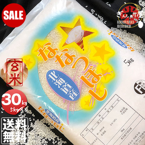 【SALE PRICE DOWN】ポイント2倍 令和7年産 北海道産 ななつぼし 玄米 30kg (5kg&times;6袋セット)＜玄米／白米／分づき米＞【送料無料】【北海道米 送料込み 米 お米 真空パック選択可】｜ぎんしゃり屋