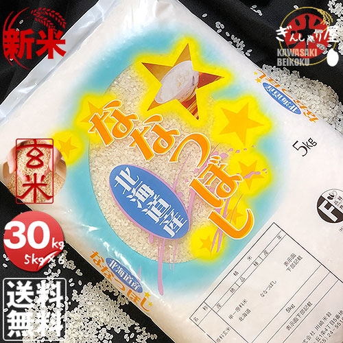 か*し様 北海道産 ななつぼし 10kg 玄米 楽天市場】新米 令和7年産 北海道産 ななつぼし 玄米 10kg (5kg×2袋