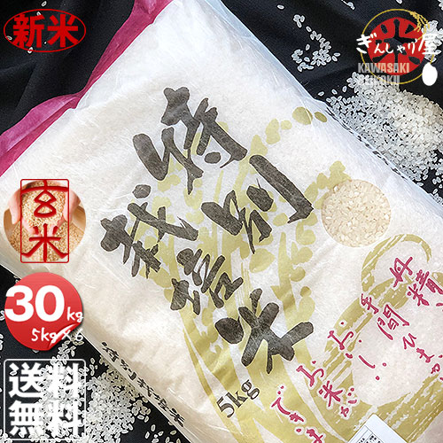 新米❗️令和5年度産北海道米100%ゆめぴりか 玄米30キロ(袋の重さ込み