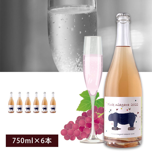 【6本セット送料無料】ミソノ・ヴィンヤード ピンク・ナイアガラ [2022]750ml&times;6本 ミソノヴィンヤード 国産ワイン ロゼワイン 自然派ワイン オーガニックワイン スパークリングワイン [T.3019.0.SE]｜燃えるカワサキグループ