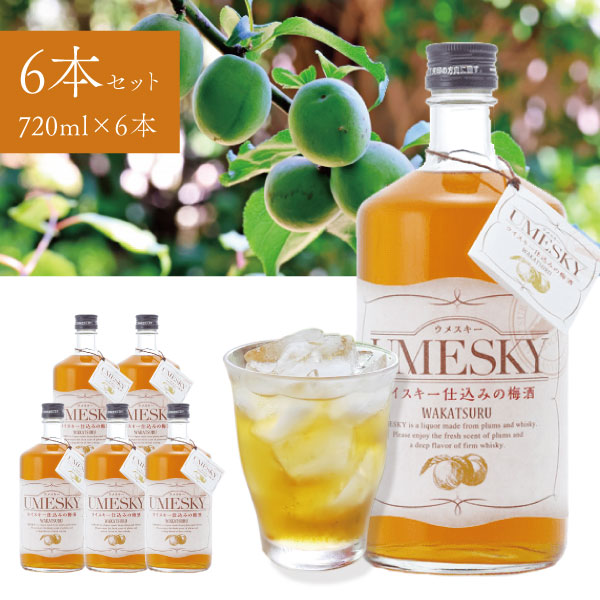 【1ケース6本セット送料無料】 若鶴酒造 UMESKY（ウメスキー） 24度 720ml×6本 UMESKY 国産ウイスキー 地ウイスキー 梅酒 [T.2665.1.SE] 7,560円