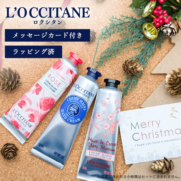 HaRuRu110様 リクエスト 3点 まとめ商品 手ピカジェル 300mL 0753 1セット（10本入） 健栄製薬 - アスクル