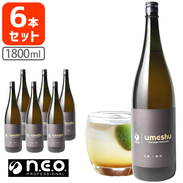 【6本セット送料無料】 n.e.o ジンジャー梅酒 1800ml×6本 [1ケース] ＜瓶リキュール＞ ネオジンジャー梅酒 梅酒 ジンジャー 生姜 [T.2444.10.SE]