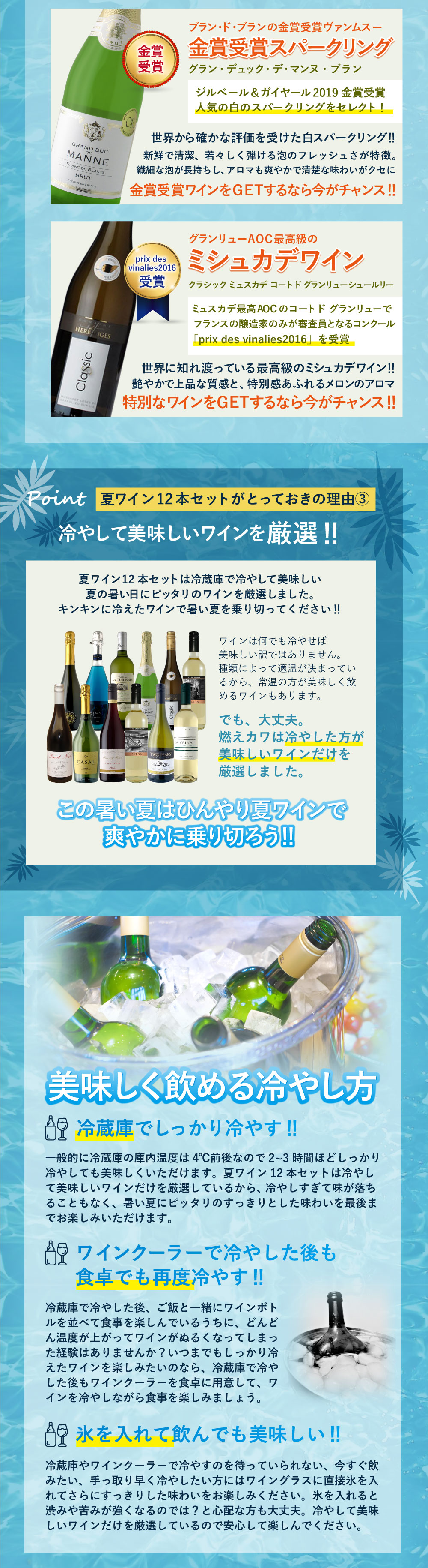 12一巻揃い貨物輸送無料 燃えカワが朱夏にオススメ成す冷やして好ましい赤色信号葡萄酒出だしの夏ワイン12本セット ワインセット 沖縄県は送料無料対象表面 飲み比べセット T 6391 0 Se Cannes Encheres Com