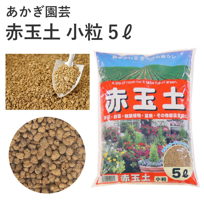 楽天市場】あかぎ園芸 鹿沼土 5L 用土 基本用土 ガーデニング 上質