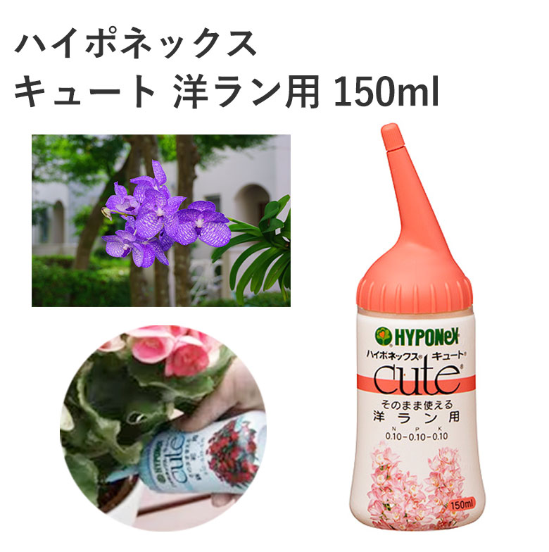 キュート洋ラン用150ml × 40点 キュート 洋ラン用 １５０ｍｌ hrm＃4977517164166 | 駆除剤 通販