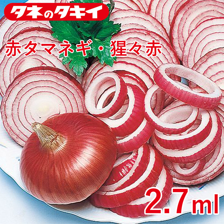 有機栽培対応の赤玉ねぎ苗　1000本 楽天市場】玉ねぎ苗 赤玉 20本 5/下〜6/上旬頃収穫品種 サラダ