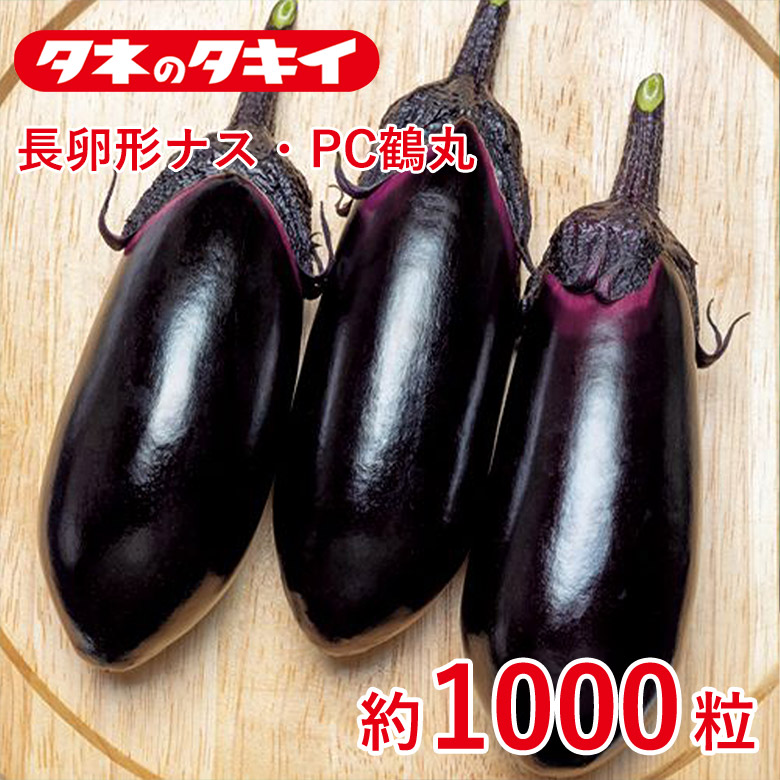 長卵形茄子・マイコン鶴丸 約1000粒 種 内果皮 タキイかけ合わせ 作り出す 蔬菜 身寄り家庭菜園 花・ガーデン・DIY-花の種子