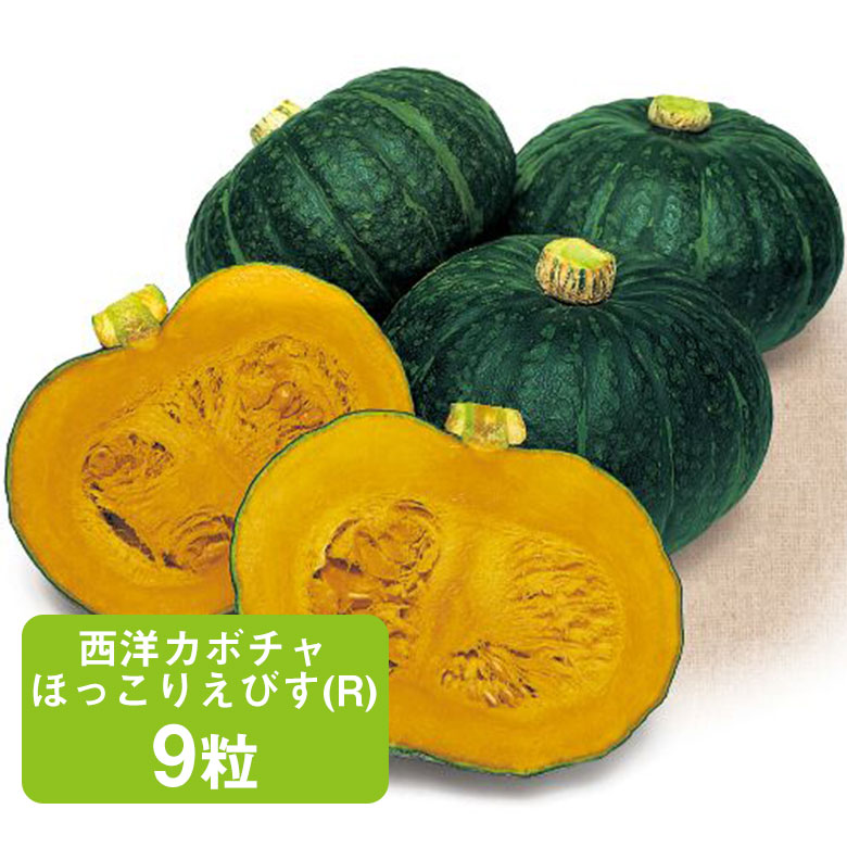 ほめられ甘くてホクホクかぼちゃ