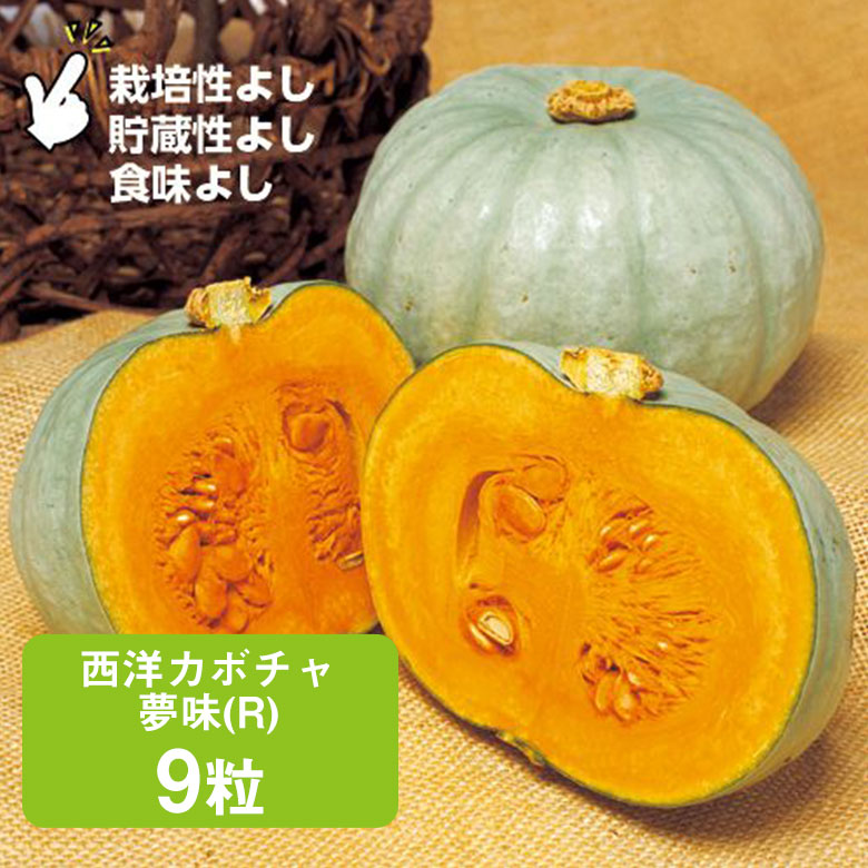 楽天市場】【栗のような食感で甘い白皮カボチャ】【おいしさ満点