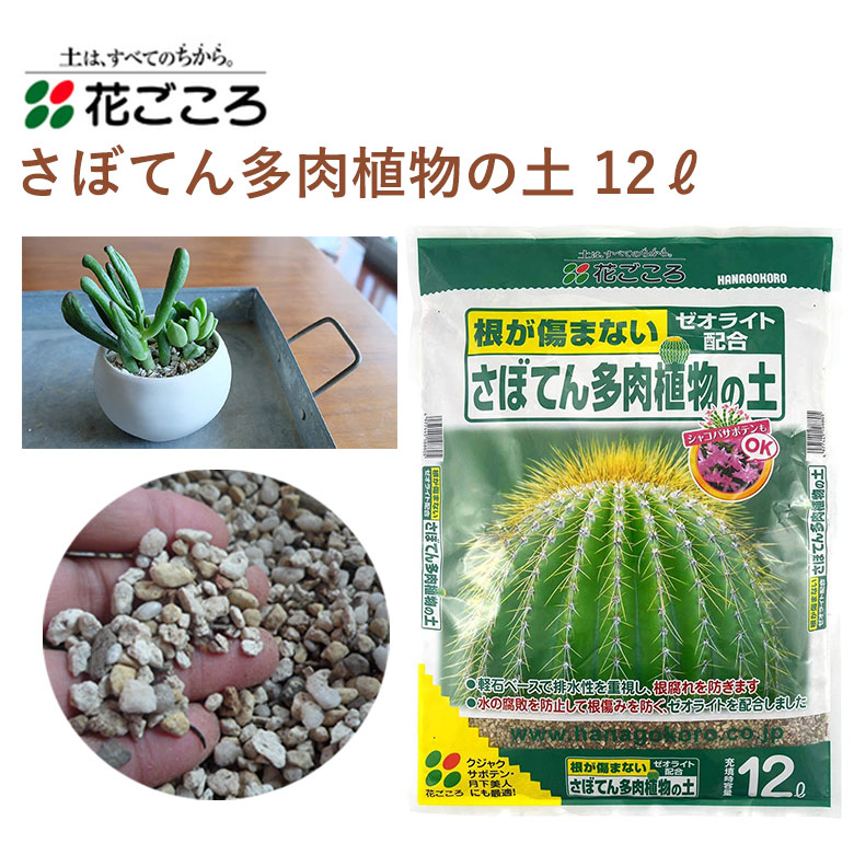 楽天市場】花ごころ 三つ星 室内観葉植物の土 5L 培養土 観葉植物 塊根植物 室内 三つ星 植え替え 園芸 土壌改良材 混ぜるだけ 手軽 簡単 肥料  園芸用品 農業資材 農業用品 家庭菜園 ガーデニング ガーデニング用品 ガーデン 花 野菜 花壇 鉢植え 土 : カワシマ園芸 楽天 ...