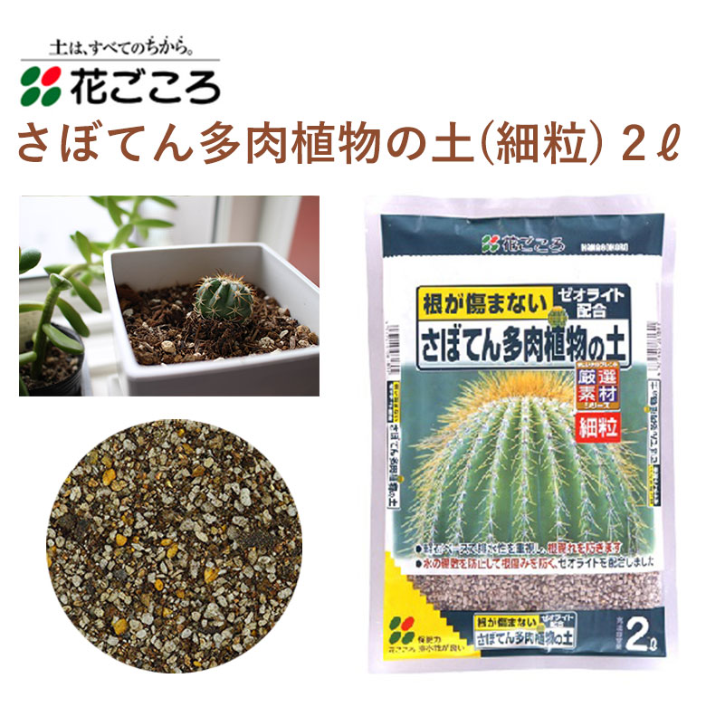 楽天市場】花ごころ さぼてん多肉植物の土(細粒) 5L 培養土 細粒 サボテン 多肉植物 植え替え 園芸 土壌改良材 混ぜるだけ 手軽 簡単 肥料  園芸用品 農業資材 農業用品 家庭菜園 ガーデニング ガーデニング用品 ガーデン 花 野菜 花壇 鉢植え 土 : カワシマ園芸 楽天市場店