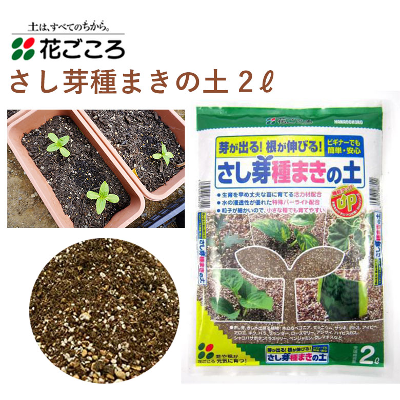 楽天市場】花ごころ さぼてん多肉植物の土(細粒) 5L 培養土 細粒 サボテン 多肉植物 植え替え 園芸 土壌改良材 混ぜるだけ 手軽 簡単 肥料  園芸用品 農業資材 農業用品 家庭菜園 ガーデニング ガーデニング用品 ガーデン 花 野菜 花壇 鉢植え 土 : カワシマ園芸 楽天市場店