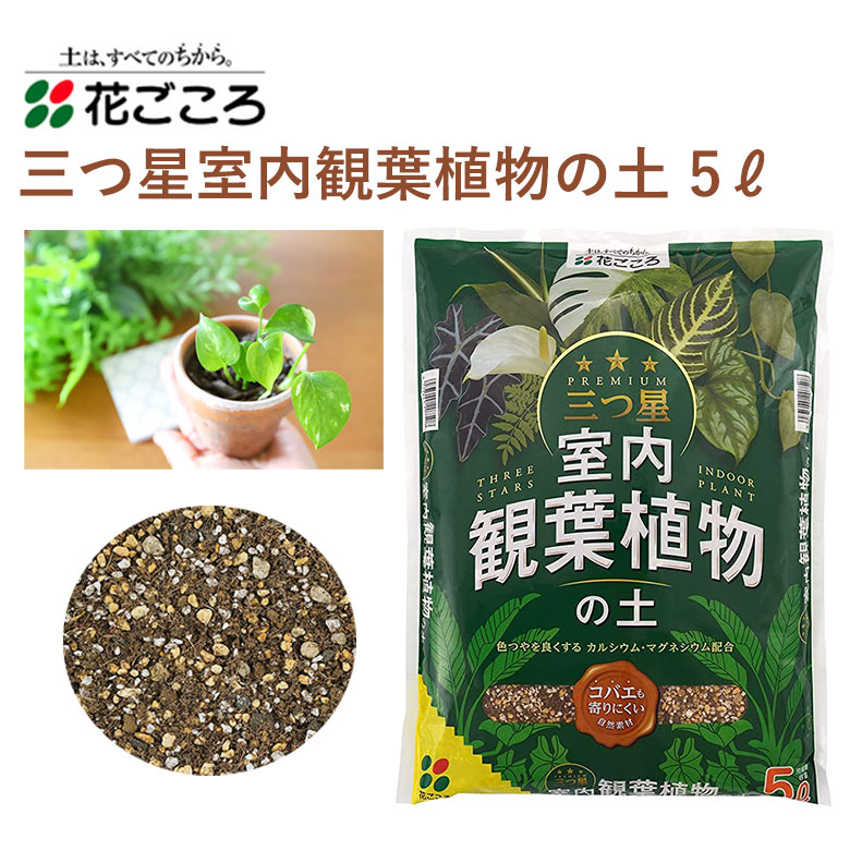 花ごころ 三つ星 室内観葉植物の土 5L 培養土 観葉植物 塊根植物 室内 三つ星 植え替え 園芸 土壌改良材 混ぜるだけ 手軽 簡単 肥料  園芸用品 農業資材 農業用品 家庭菜園 ガーデニング ガーデニング用品 ガーデン 花 野菜 花壇 鉢植え 土 カワシマ園芸 楽天 ...