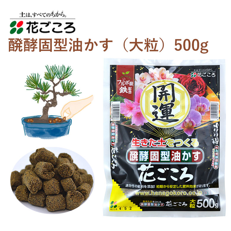 92円 売却 花ごころ 醗酵固型油かす 大粒 500g 油かす 固型 肥料 簡単 園芸 土壌改良材 混ぜるだけ 手軽 園芸用品 農業資材 農業用品 家庭菜園 ガーデニング ガーデニング用品 ガーデン 花 野菜 花壇 鉢植え 土