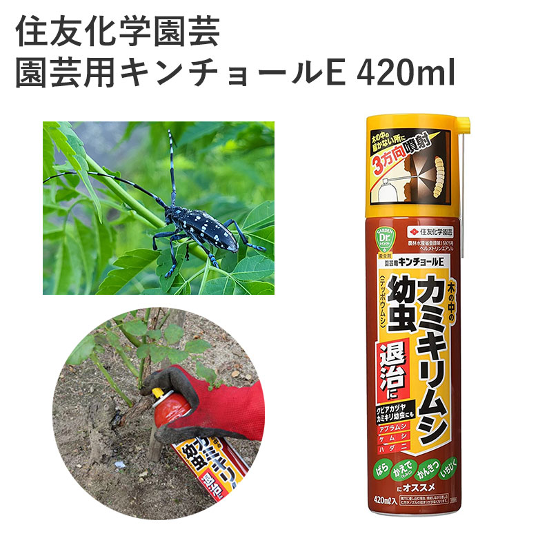 楽天市場】住友化学園芸 カイガラムシエアゾール 480ml 殺虫剤 楽天市場】住友化学園芸 カイガラムシエアゾール 480ml 殺虫剤