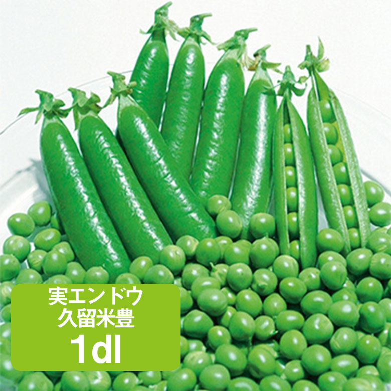久留米エンドウ豆 タキイ種苗 久留米豊【徳用】 ＜豆の種＞の通販｜エンドウ｜野菜