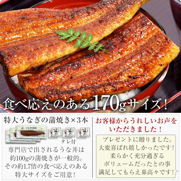 残暑見舞いお歳暮ギフトお年賀国産うなぎウナギ鰻国内産誕生日プレゼントお祝い内祝いお返し食べ物グルメ