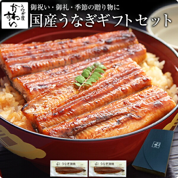 ギフト セット うなぎ 蒲焼き<br>特大国産うなぎ蒲焼き 170g×2本セット<br>誕生日 お祝い お礼 内祝い 退職祝い 贈答 ギフト プレゼント 高級 グルメ 食品 食べ物 国産 うなぎ ウナギ 鰻 親戚 取引先 送料無料 2尾 父の日 セール 早割