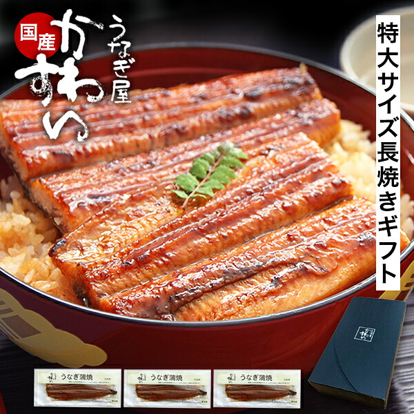 ギフト うなぎ 国産 かわすい \1位の極上鰻/ 冷凍 送料無料 特大 うなぎ蒲焼き 170g×3本 【うなぎ屋かわすい】 グルメ ウナギ 鰻 蒲焼き ひつまぶし うな丼 土用の丑の日 内祝い お返し 誕生日プレゼント 食べ物 喜ばれる 贈答 高級 入学祝い 卒業祝い