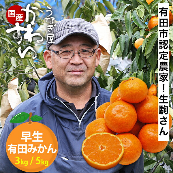 ゆずみかんさん専用です！ 楽天市場】【10/31(金)12時まで】＼希少品種 ゆら早生 有田から産直