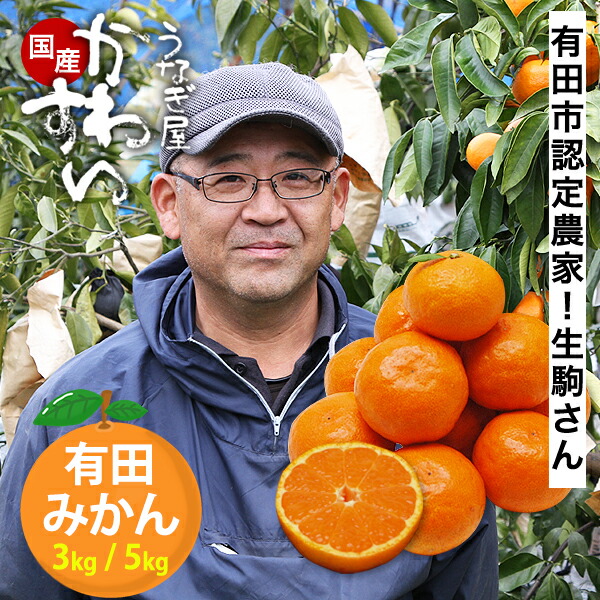 楽天市場】【10/31(金)12時まで】＼希少品種 ゆら早生 有田から産直