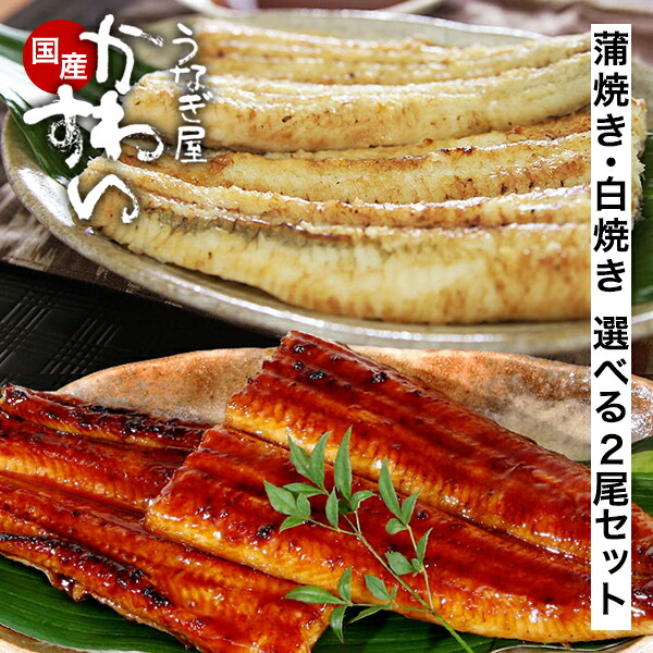 5％OFFクーポン16日13:59迄！ うなぎ 国産 かわすい ＼1位の極上鰻 ／ 冷凍 うなぎ蒲焼き 選べる 2尾セット 蒲焼き 白焼き 120g ウナギ 鰻 ひつまぶし 誕生日プレゼント【うなぎ屋かわすい】 送料無料 グルメ ギフト うなぎ 2尾 内祝 お返し 食べ物 喜ばれる