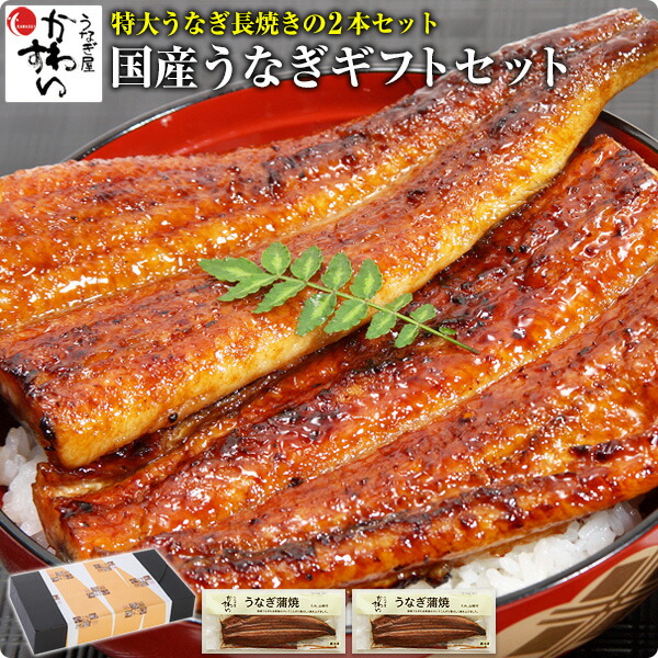 [ギフト]特大国産うなぎ蒲焼き 170g&times;2本セット[国産 うなぎ ウナギ 鰻 国内産][グルメ 食べ物 誕生日 プレゼント お祝い お礼 お返し 父の日 母の日 内祝い 退職祝い][MP][gf][あす楽]