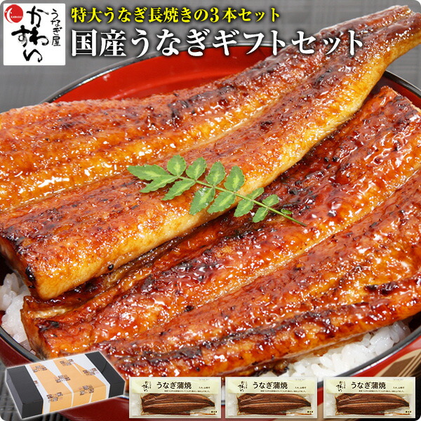 [ギフト]特大国産うなぎ蒲焼き 170g&times;3本セット[国産 うなぎ ウナギ 鰻 国内産][グルメ 食べ物 誕生日 プレゼント お祝い お礼 お返し バレンタイン チョコ以外  内祝い 退職祝い][MP][gf][あす楽]