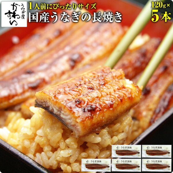 [1人前にぴったりサイズ]<br>国産うなぎ蒲焼き120g×5本 ウナギ 鰻 蒲焼き 蒲焼 国産 国内産 夏の土用丑 土用の丑の日 冷凍食品 うなぎ 国産 5尾