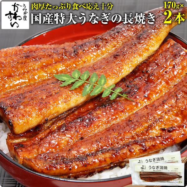 [1月23日は冬の土用丑 本日500円OFF][自慢の特大サイズ]国産特大うなぎ蒲焼き 170g&times;2本[送料無料][ウナギ 鰻 蒲焼き 蒲焼 国産 国内産 夏の土用丑 土用の丑の日][ひつまぶし ちらし寿司][MP][あす楽][SE]