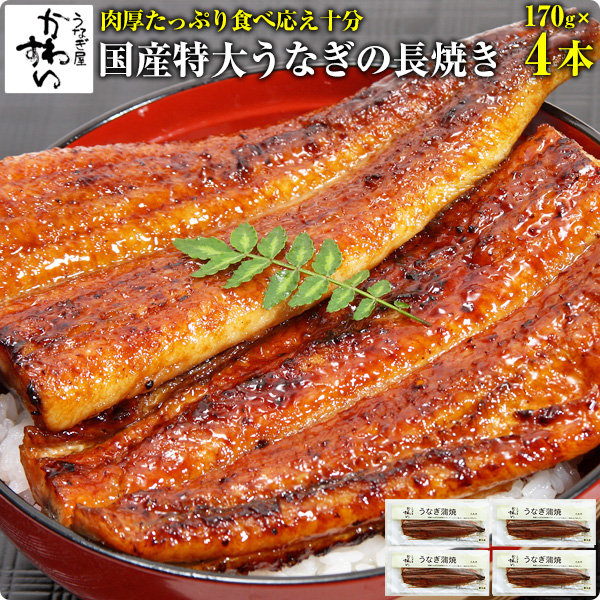 国産特大うなぎ蒲焼き 170g×4本 ウナギ 鰻 蒲焼き 蒲焼 国産 国内産 土用の丑の日 冷凍食品 送料無料[自慢の特大サイズ]