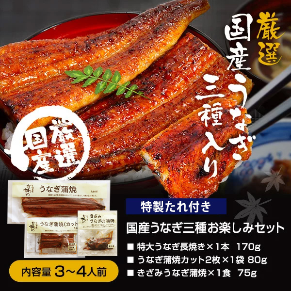 本デイお仕舞い 御父っつぁんの日専用贈呈品入れもの好い目 11年算ぶっ続け食い道楽大賞 特大国造り出すうなぎ蒲焼き3カテゴリ書割り 山椒別売 父の日 早得分 ギフト 供 うなぎ ウナギ ウナギ 蒲焼き 国内産 国産 土用丑の日 産れる日 お法 内祝 父の日ギフト 詰め合わせ