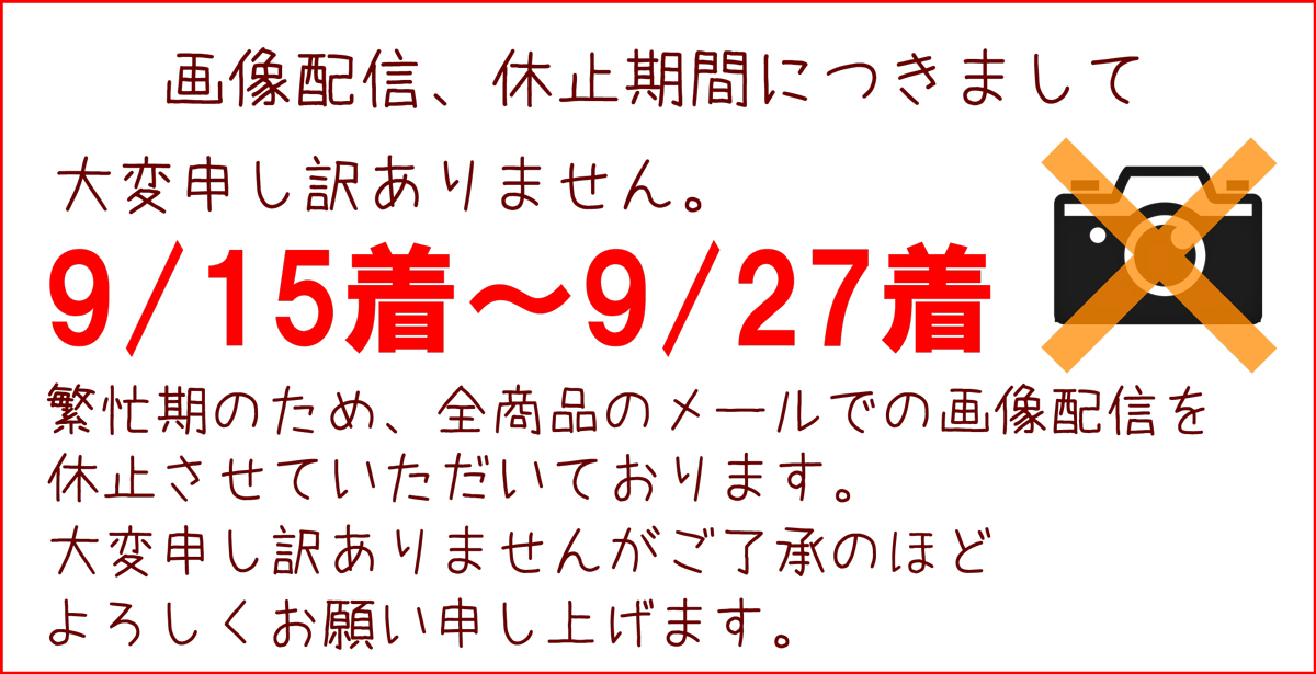 豪華大サイズ 誕生日プレゼント 女性 女友達 花 母 男性 ギフト 送料無料 フラワーアレンジメント バラ 退職祝い 退院祝い 季節の花 送別会 結婚記念日 発表会 記念日 祝い お礼 妻 渋沢栄一 代 30代 40代 50代 60代 70代 80代 90代 Chelsesgreenhouse Com