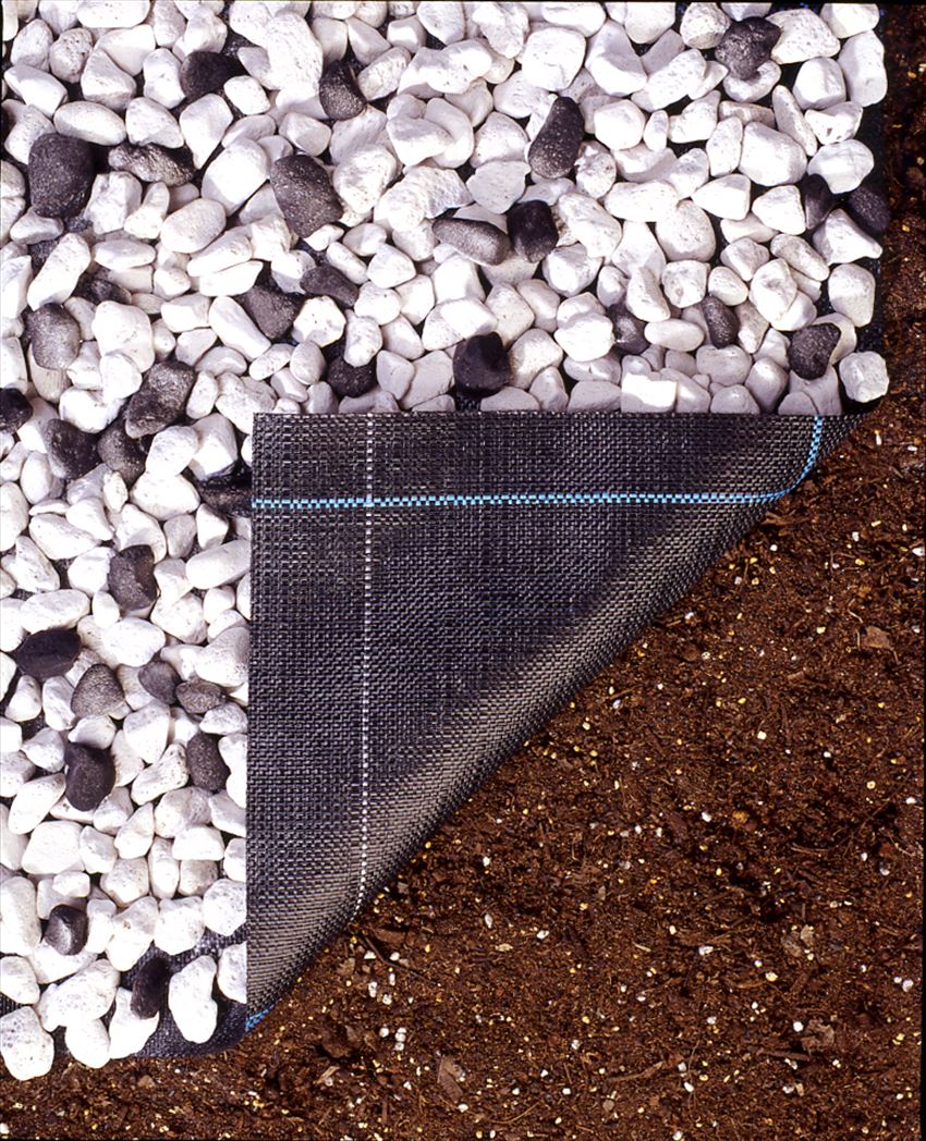 楽天市場 雑草止めシート 防草シート 1m 8m ブルー グリーン 雑草対策 泥汚れ 雑草防止シート ぬかるみ防止 草よけ 砂利の沈下抑え プロ仕様多目的シート ラッピング対象外 川端滝三郎商店