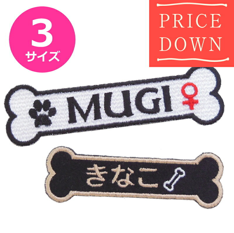楽天市場】安全ピン付きクリップ2個セット【2個セットのお値段】【名札