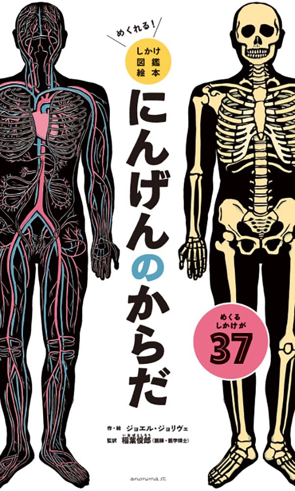 めくれる！しかけ図鑑絵本　にんげんのからだ