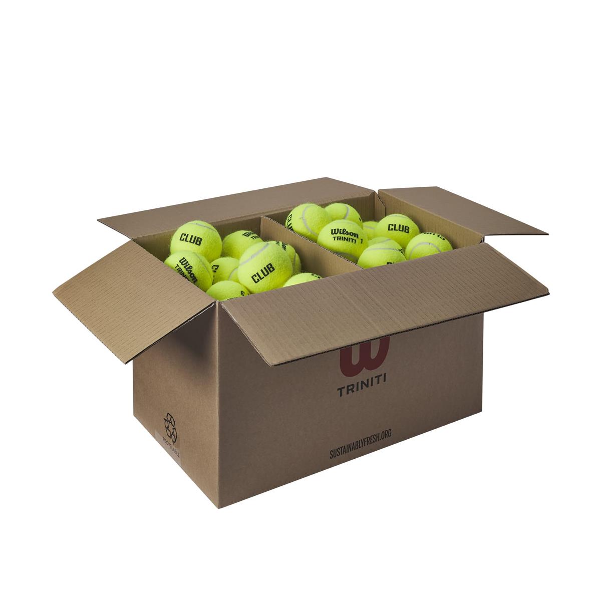 Wilson(ウイルソン) 硬式庭球どんぶり鉢 TRINITI CLUB TBALL (トリニティ 野球クラブ どんぶり鉢) 1箱72球入り口・入口 イエ 置き目 WR8201501001