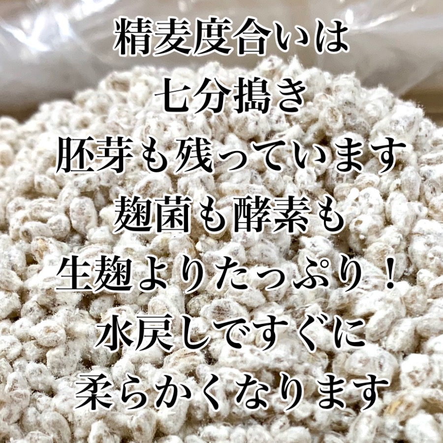 保障できる】 乾燥麦麹 1000ｇ 生麦麹換算約1330kg分 長崎 佐賀県産 七分搗き胚芽大麦使用 検索用 乾燥麹 甘酒 味噌 味噌麹 塩麹 麦麹  レターパック qdtek.vn