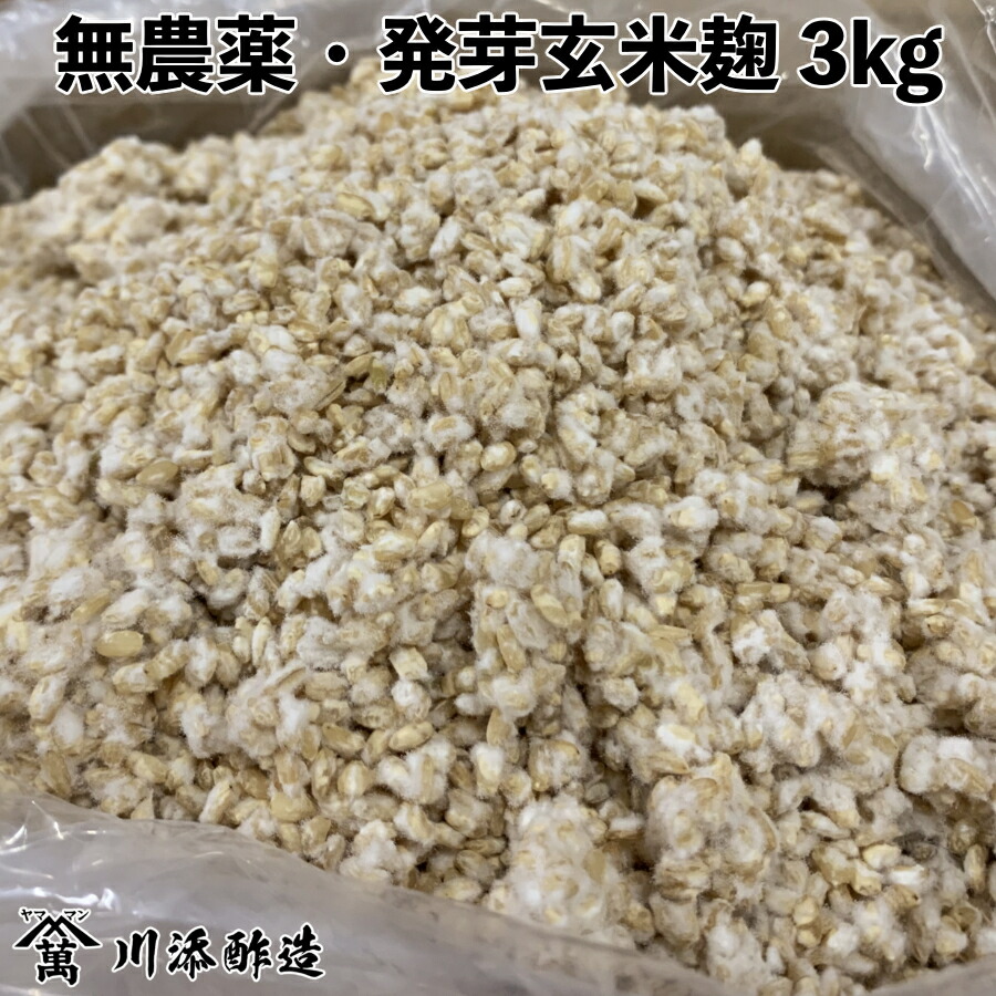 楽天市場】【無農薬・発芽玄米麹（乾燥）8kg大袋 九州産玄米】検索用（米麹 麦麹 糀 塩麹 こうじ 味噌 甘酒 有機玄米） : 川添酢造 楽天市場店