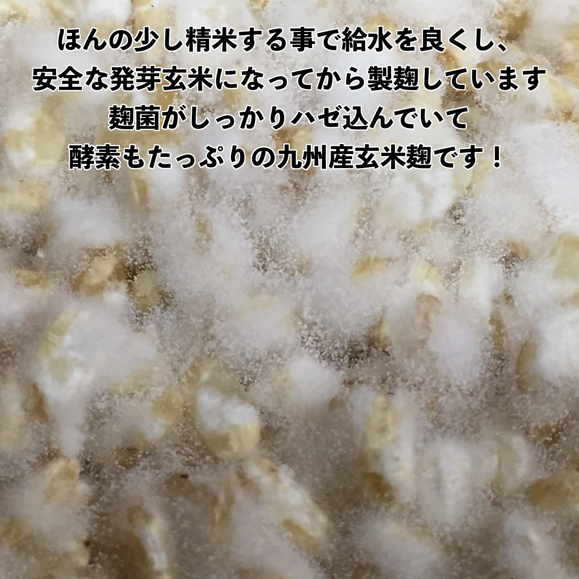 市場 味噌作りセット 無農薬玄米麹の米味噌2.6kg 塩 検索用 乾燥麦麹 味噌作りキット 米麹 大豆 2倍麹甘口