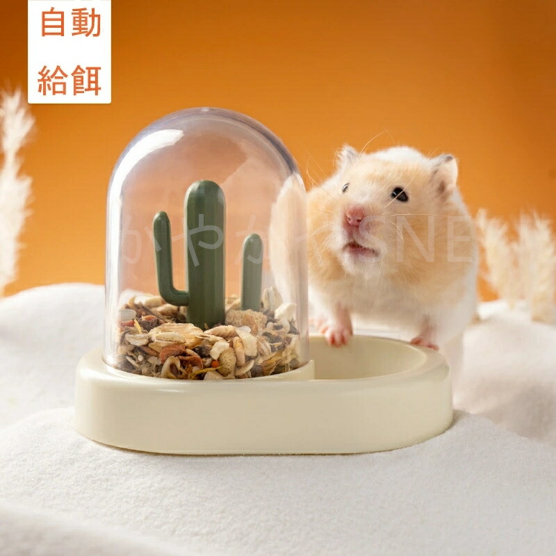 楽天市場】ハムスター 餌入れ 小動物用自動給餌 小鳥用食器 エサ入れ