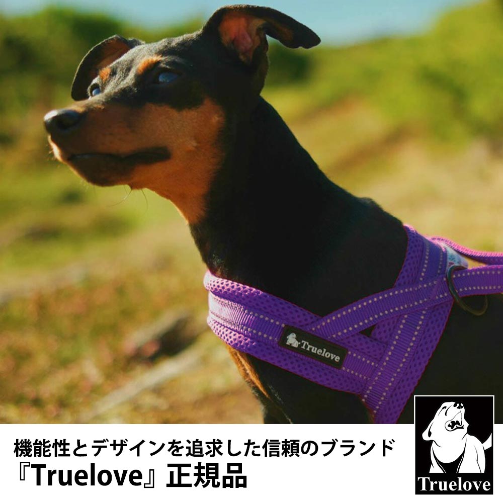 Truelove 犬 散歩 首にやさしい 超小型 小型犬 3 5kg ハーネス 軽量 お出かけ Xxxsサイズ