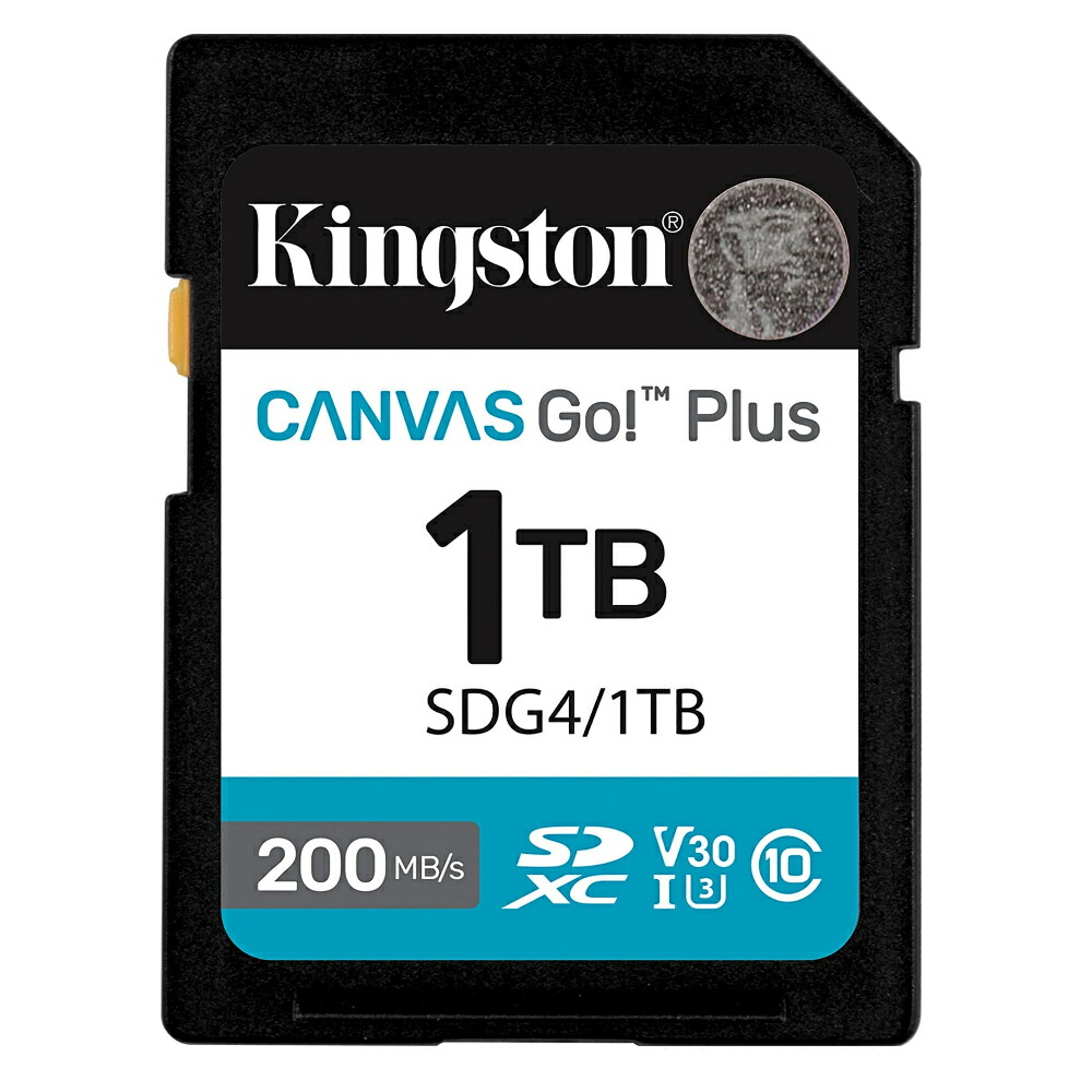 SD歌留多 1肺結核 SDXC Kingston キングストン Canvas Go Plus Class10 UHS-I U3 V30 4K R:200MB/s W:160MB/s 外国でリテール SDG4/1肺結核 ◆コ