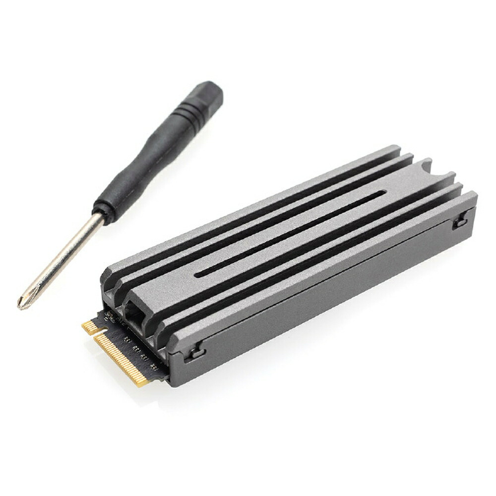 M.2 NVMe SSD 2TB M.2-2280 内蔵型 Logitec ロジテック PS5/PS5Pro対応 PCIe Gen4 x4 R:6100MB/s ヒートシンク付 LMD-PS5M200 ◆コ|風見鶏