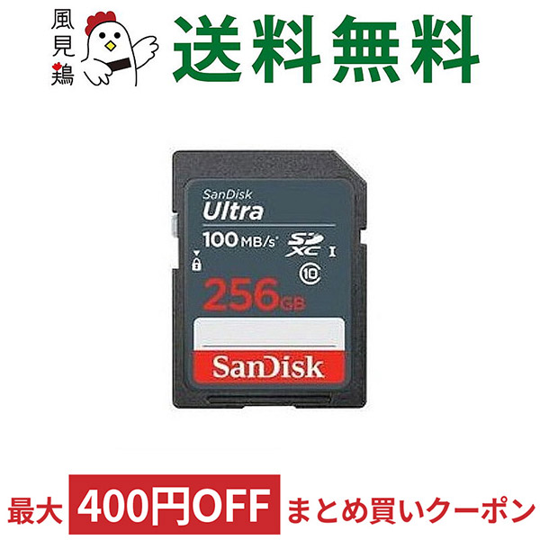 Kingston SDXCカード 256GB 楽天ブックス限定特典 家電・スマホ