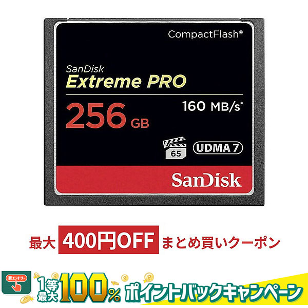 美品 整い コンパクトフラッシュメモリー 512MB 2枚まとめて