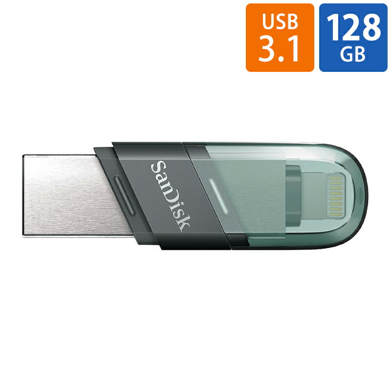 SanDisk サンディスク iXpand Base 256GB 新品 SanDisk 256GB iXpand Flash Drive Luxe SDIX70N-256G-AN6NE B&H